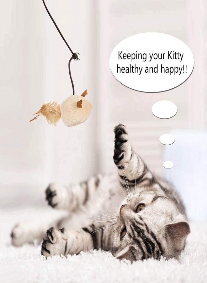 PET FUN مجموعة هدايا ألعاب القطط من بيت فن® - 7 قطع من ألعاب القطط التفاعلية مع عصا ريش، وكرة من السيزال، وفأر النعناع البري، وأجراس، ومجموعة لعب للقطط والقطط الصغيرة المنزلية - Image 5